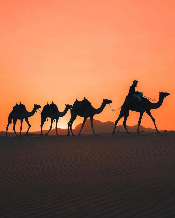 Rum Joharh Luxury Camp Wadi Rum Zewnętrze zdjęcie